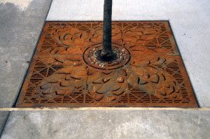 "Hops" tree grate, Sumner Commuter Rail