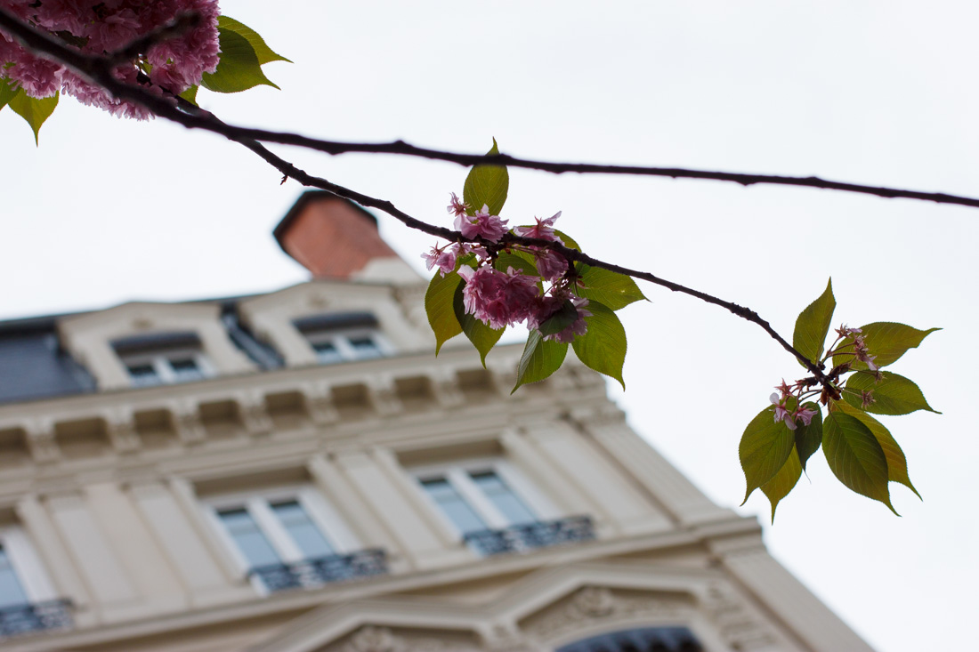 Lyon-France