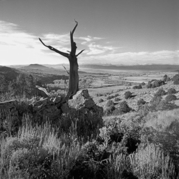 pinhole-photograph