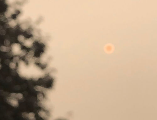 Apocalyptic