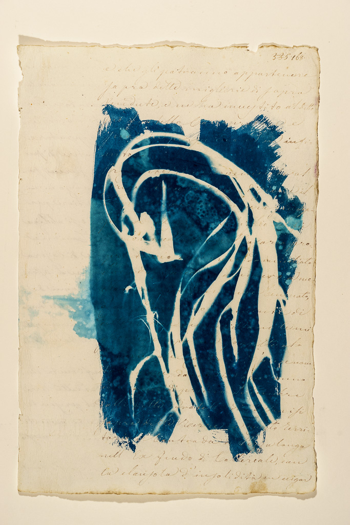 cyanotype on Italian manuscript