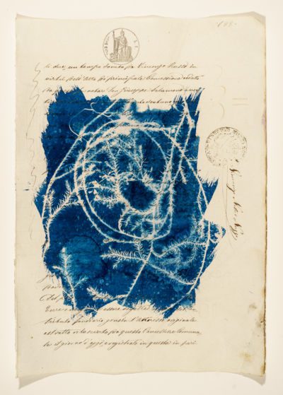 cyanotype