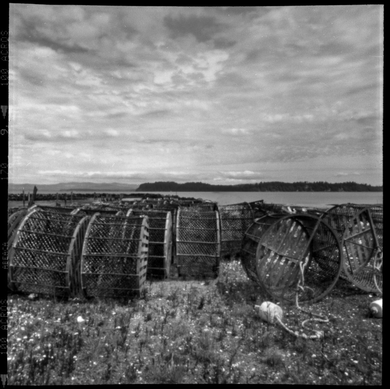 pinhole photograph of oyster baskets at Willapa Bay