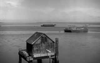 pinhole of Willapa Bay