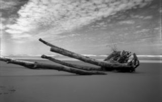 pinhole photograph driftwood on Long Beach