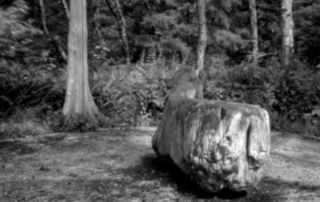 pinhole photograph at Cape Disappointment