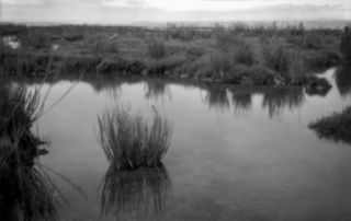 pinhole photograph at Wllapa Bay estuary