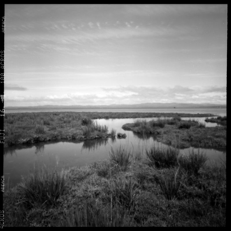 pinhole of Willapa Bay estuary