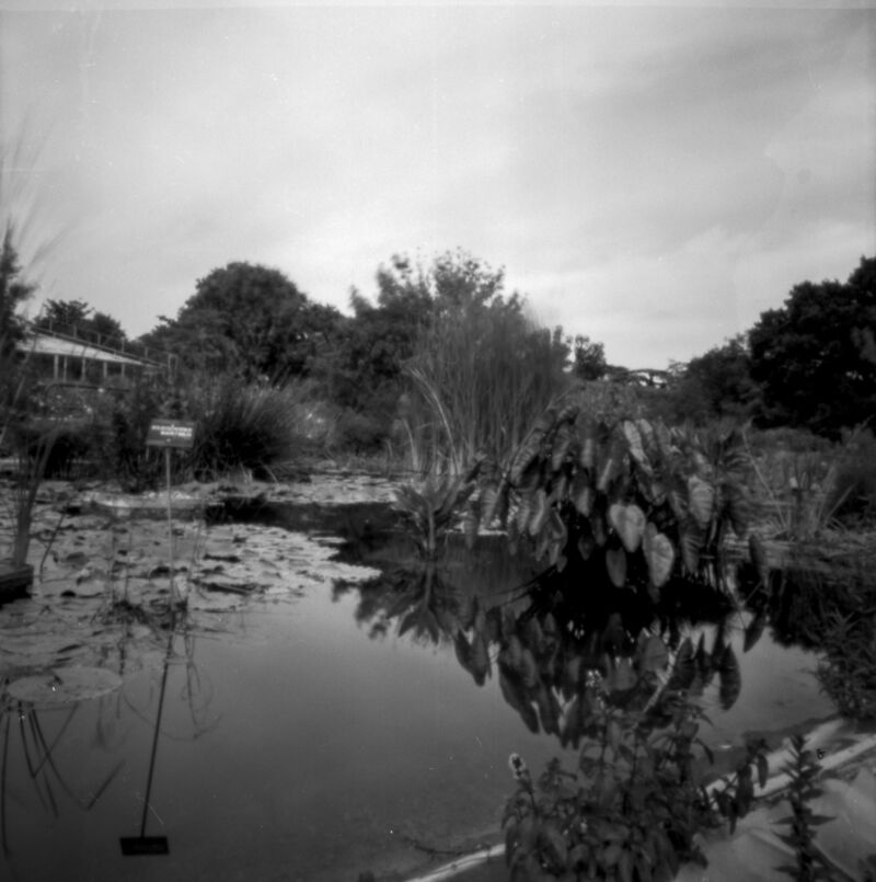 pinhole photograph at Parc de la Tête d"Or