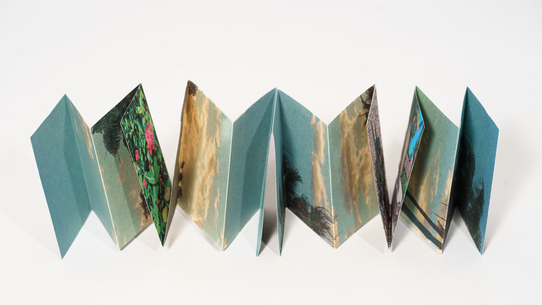 Flora back of accordion book